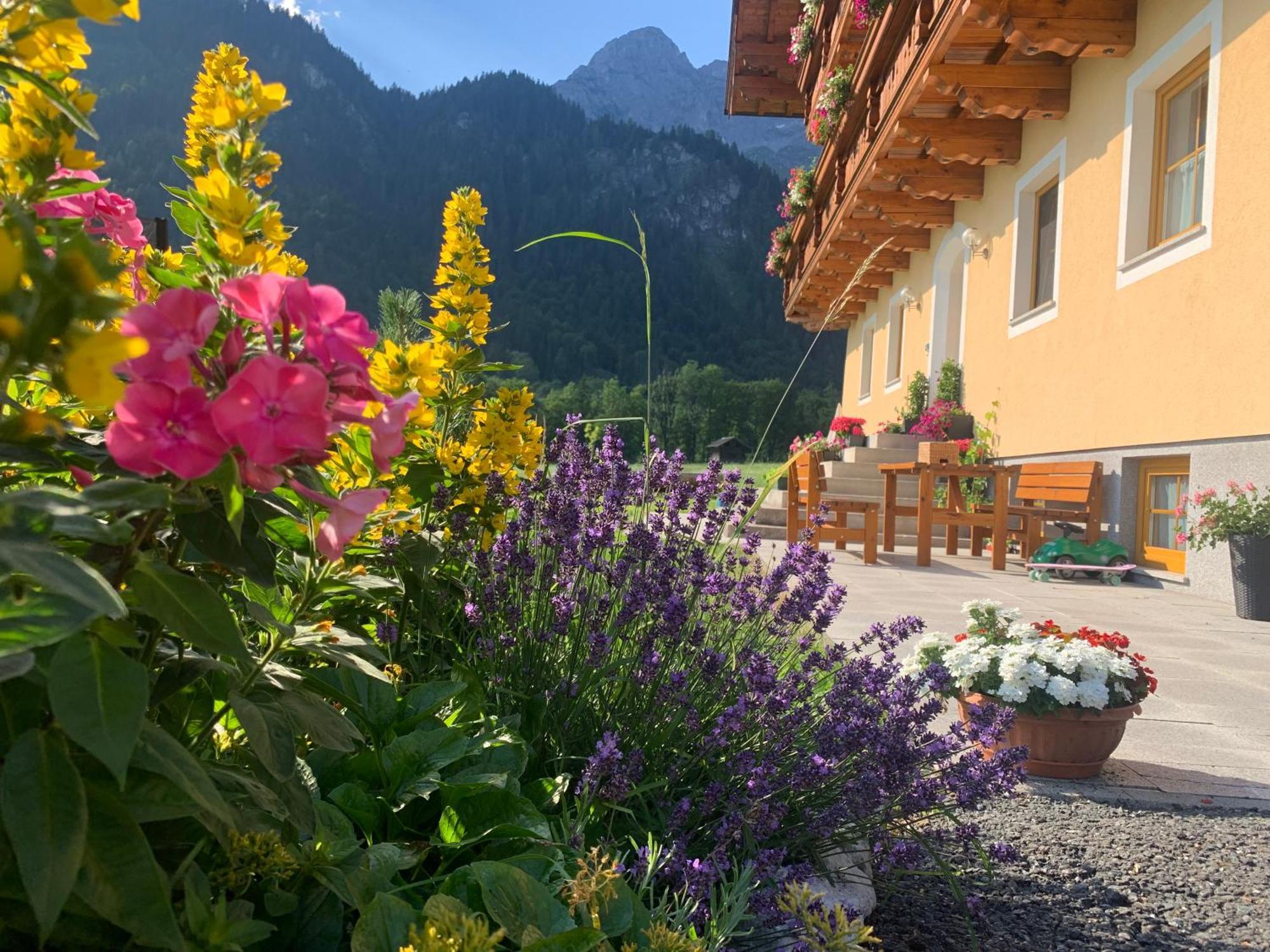 Alpen Appartements Oberlehengut เวอร์เฟนแวง ภายนอก รูปภาพ