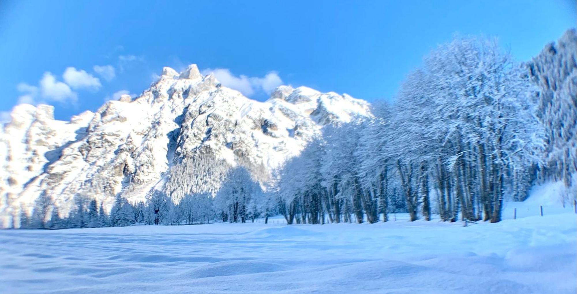 Alpen Appartements Oberlehengut เวอร์เฟนแวง ภายนอก รูปภาพ