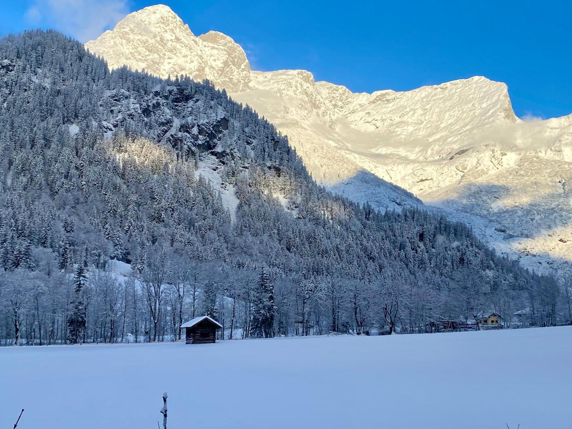 Alpen Appartements Oberlehengut เวอร์เฟนแวง ภายนอก รูปภาพ