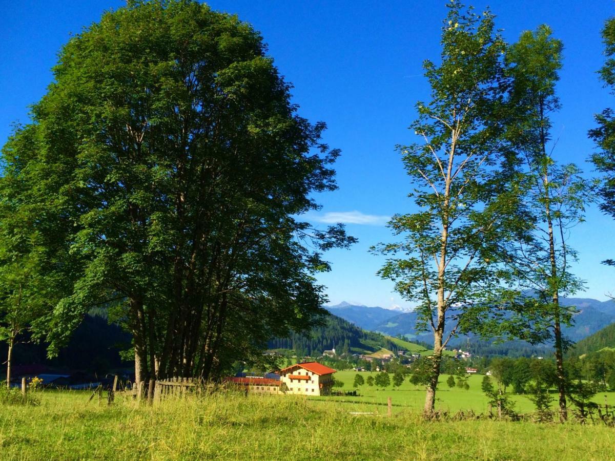 Alpen Appartements Oberlehengut เวอร์เฟนแวง ภายนอก รูปภาพ